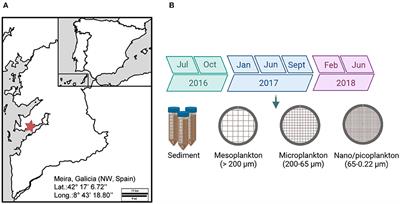 High-Throughput Sequencing of Environmental DNA as a Tool for Monitoring Eukaryotic Communities and Potential Pathogens in a Coastal Upwelling Ecosystem